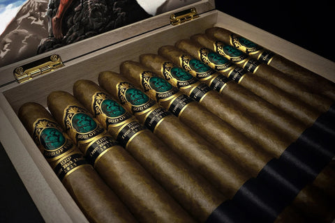 GOD OF FIRE KKP NEVER BACK DOWN DIADEMA 54