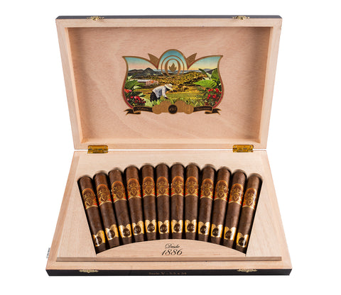 Oliva Serie V 135th Anniversary Edicion Limitada Perfecto Cigars